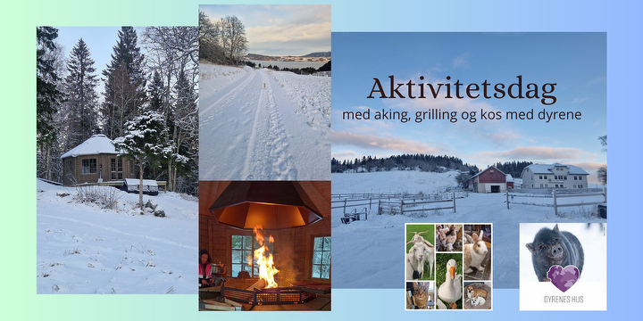 Bilde/illustrasjon for Dyrenes hus: aktivitetsdag med aking og grilling UTSETTES! Dyrenes hus: aktivitetsdag med aking og grilling UTSETTES!
