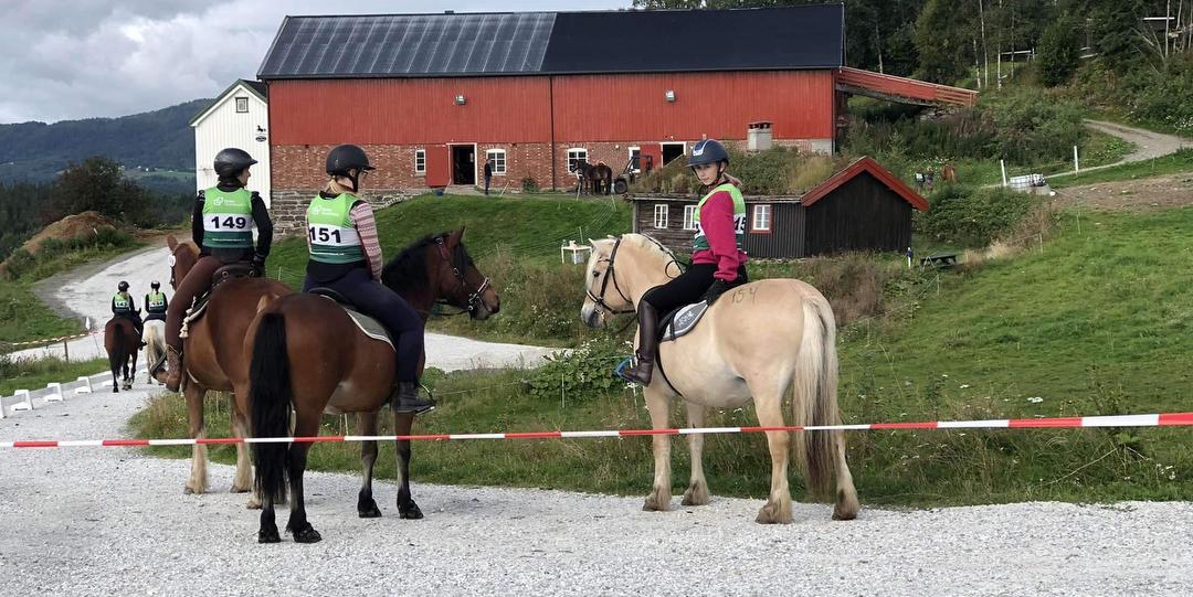 Bilde/illustrasjon for Orkdalsrittet 2024