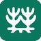 Logo for Naturvernforbundet i Skaun
